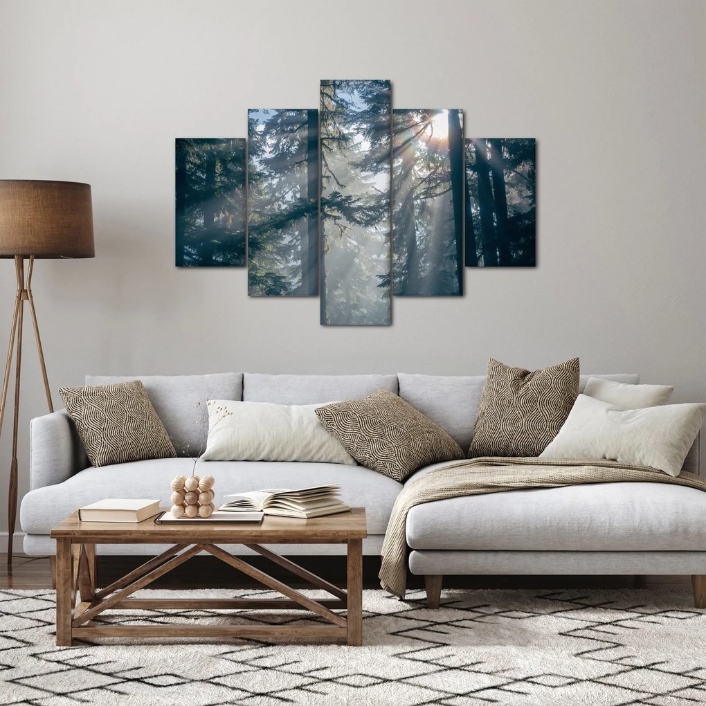 Tablou cu copaci și soarele translucind (150x105 cm)