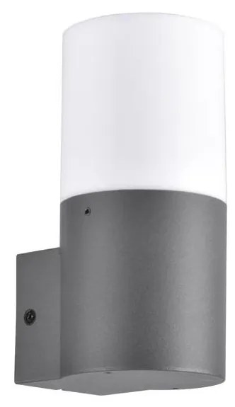 Aplica de perete exterior DALLAS 1xE27/12W/230V IP44 antracit