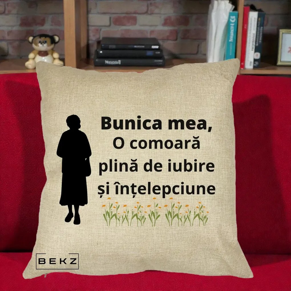 Cadou pentru Bunica - Perna Personalizata Bunica Mea Comoara Iubire Intelepciune Silueta cu Nepoata, 40x40 cm, Crem, Husa Detasabila, Perna Inclusa, BEKZ®
