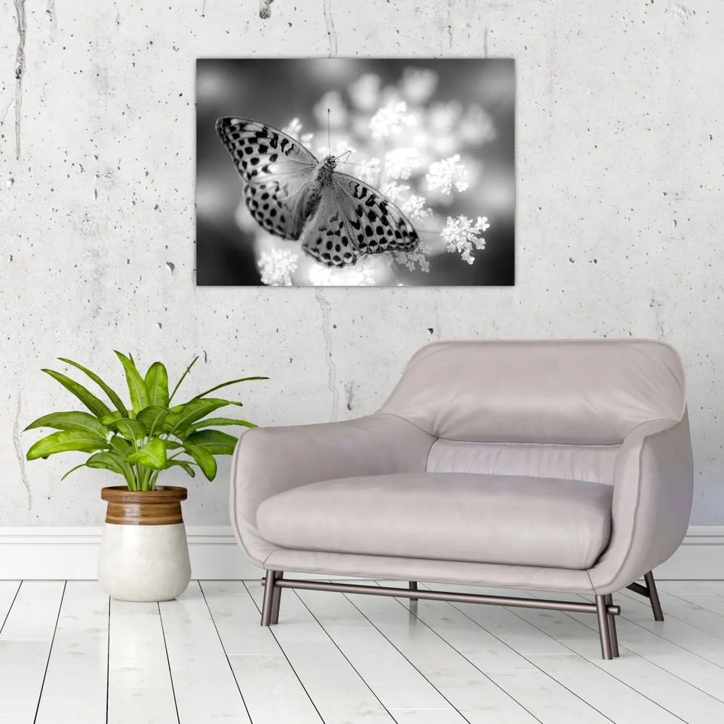 Tablou - Detailu cu fluture care polenizează floare (70x50 cm)