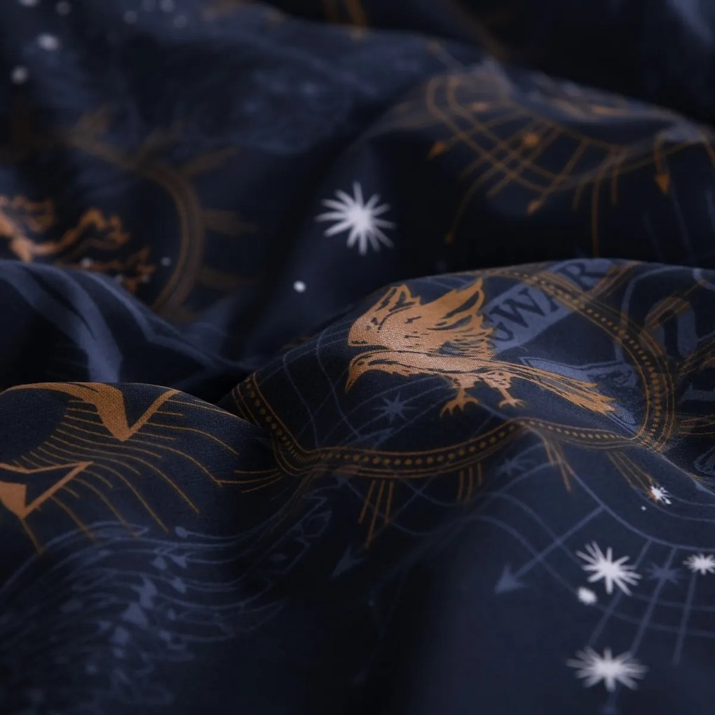 Lenjerie de pat din bumbac Herding Harry Potter, 135 x 200 cm, 80 x 80 cm