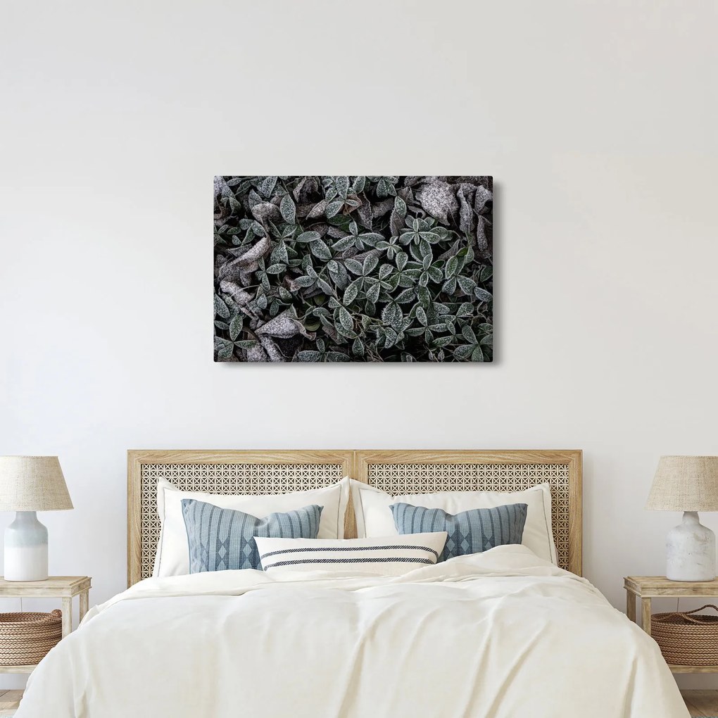 Tablou - Plante înghețate (90x60 cm)