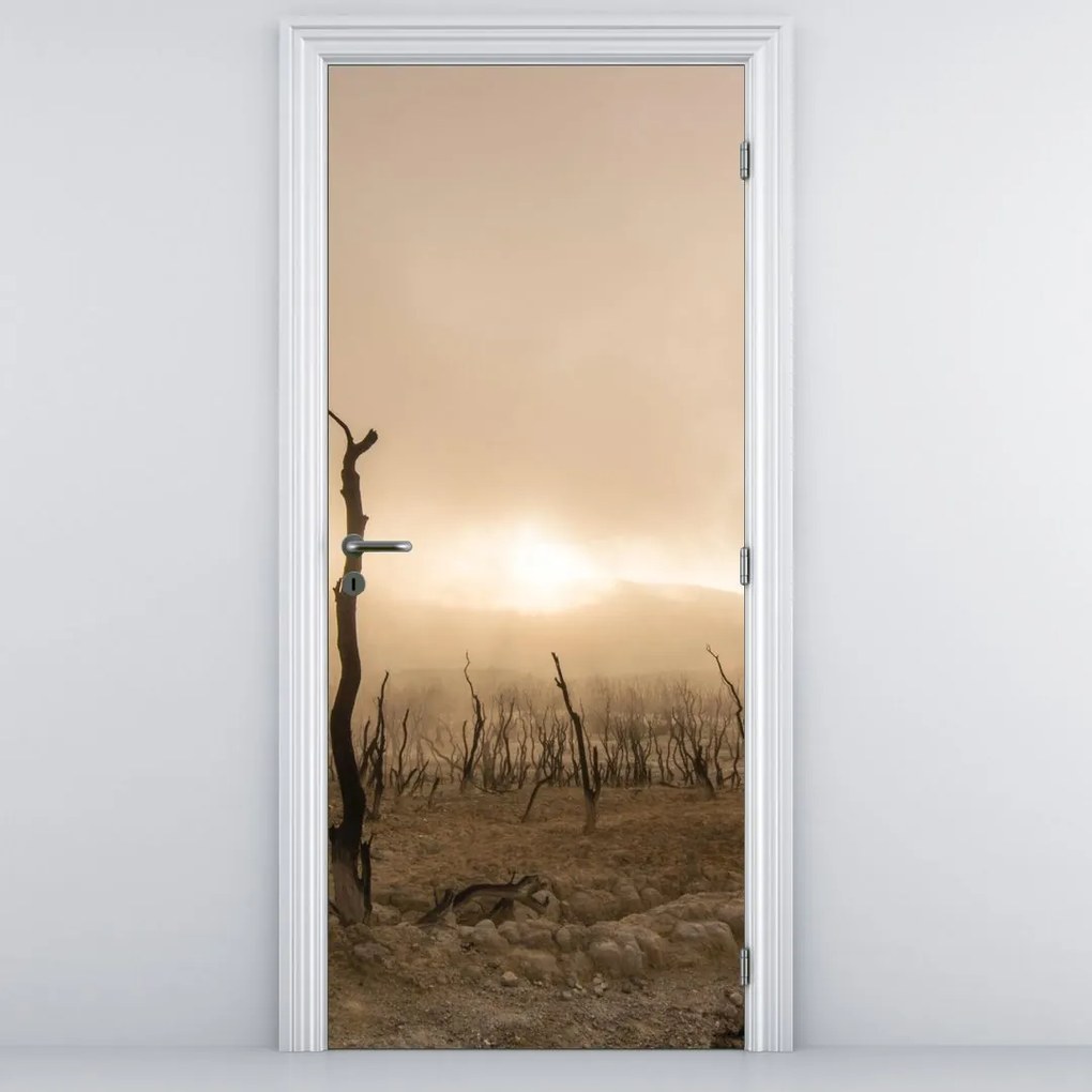 Fototapet pentru ușă - Copacii goi (95x205cm)