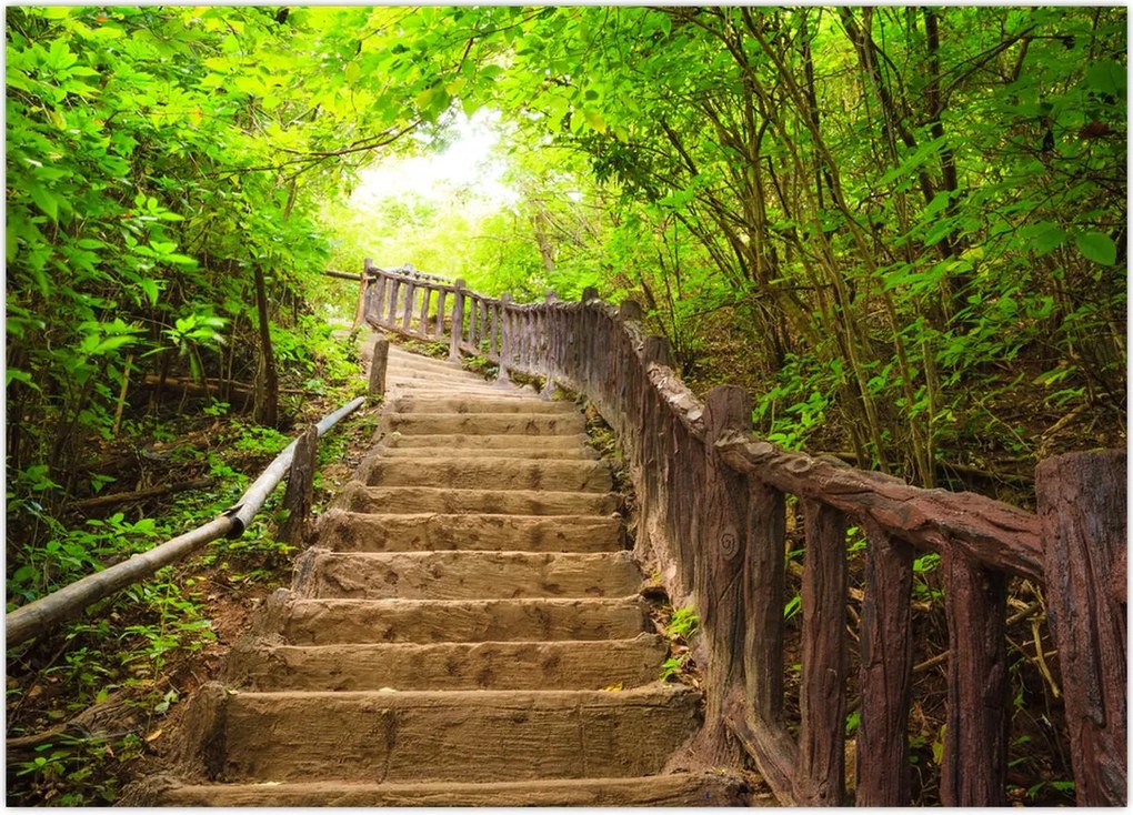 Tablou - Scări în natură (70x50 cm)