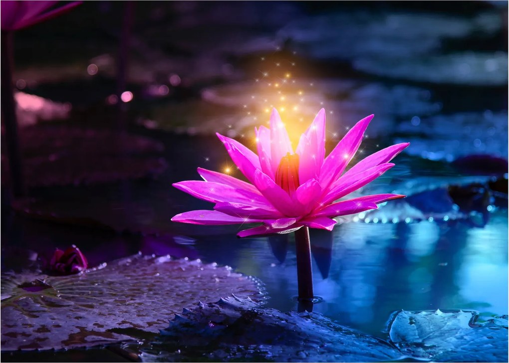 Tablou pe sticlă cu lotus pe apă (70x50 cm)