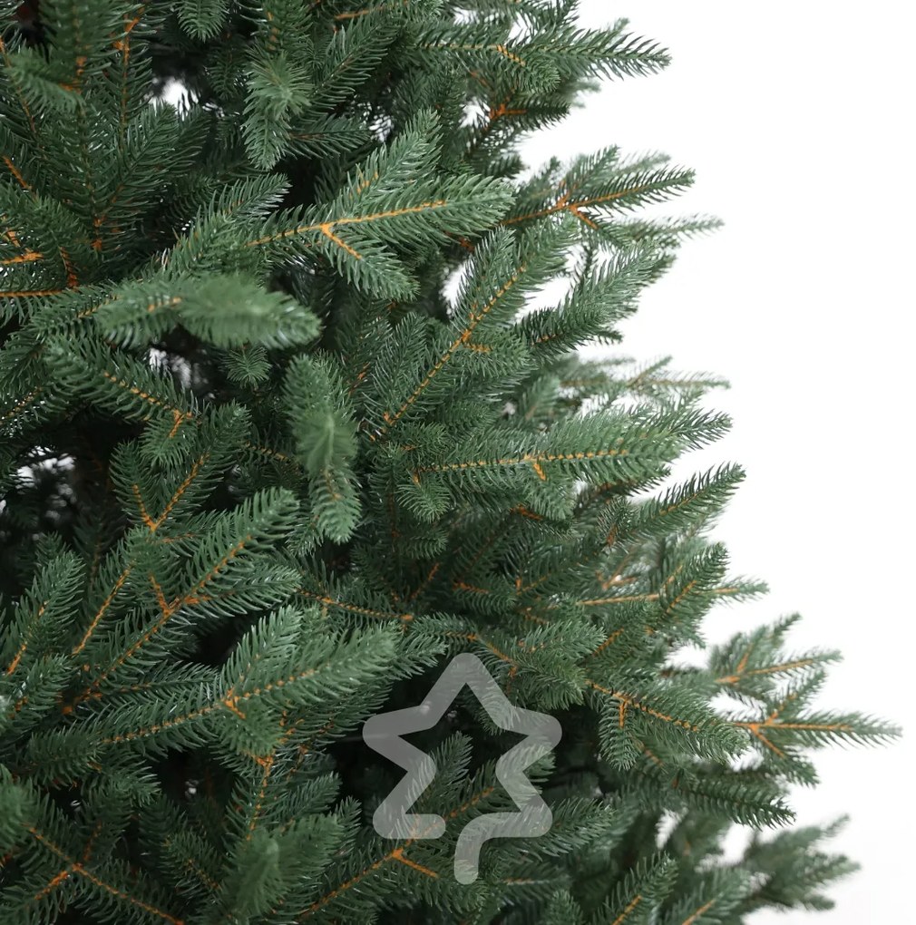 Molid Canadian 100 % 150 cm