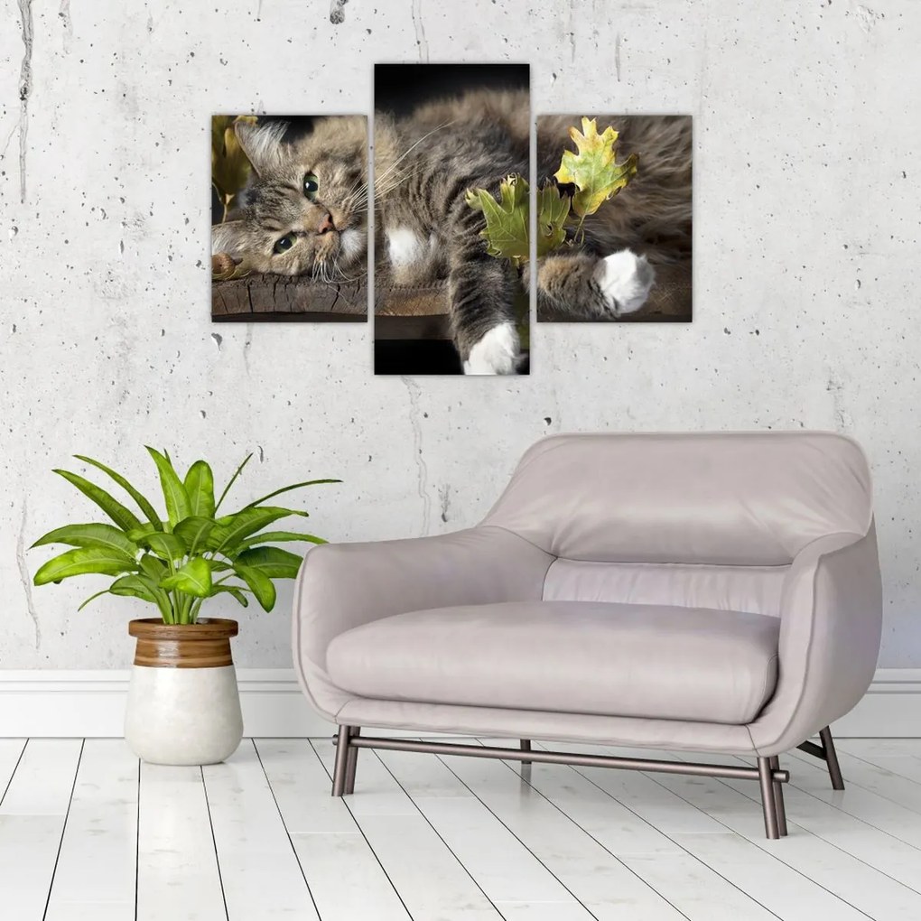 Tablou - Pisica mincinoasă (90x60 cm)