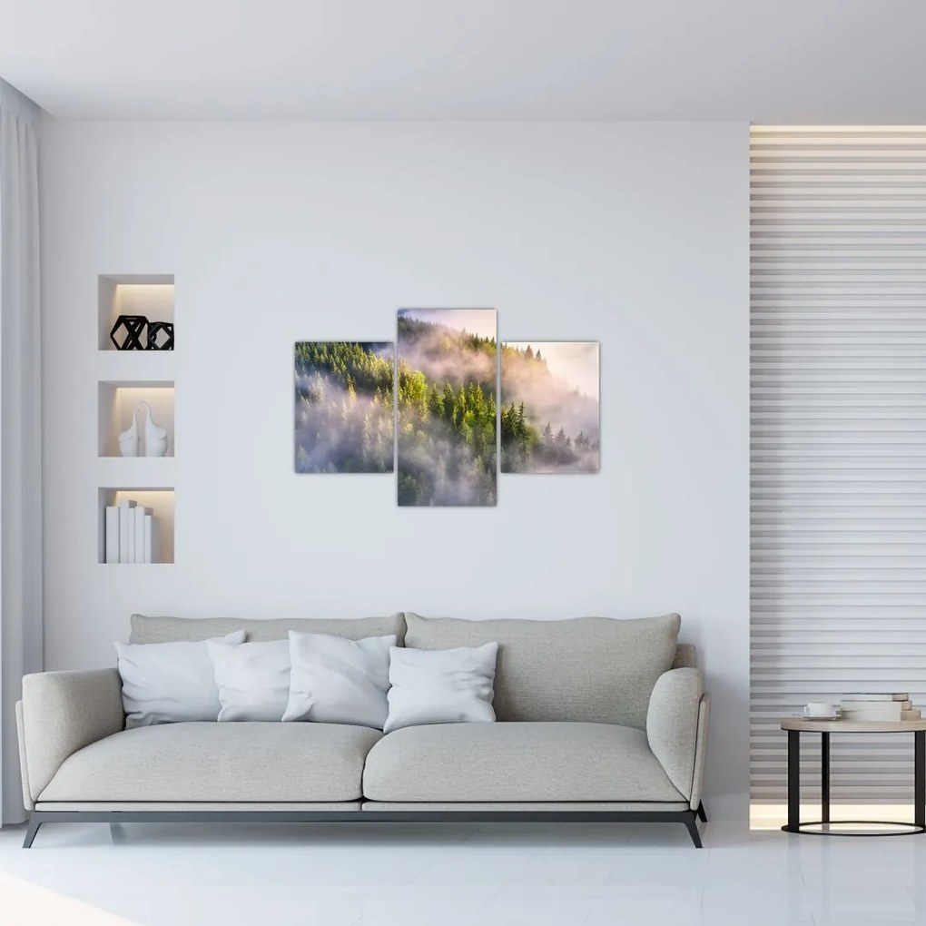 Tablou peisajului montan (90x60 cm)