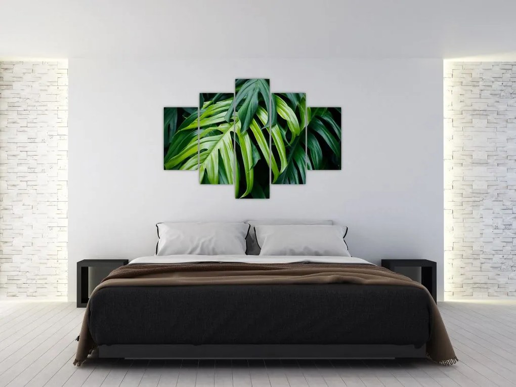 Tablou - Frunze tropicale (150x105 cm)