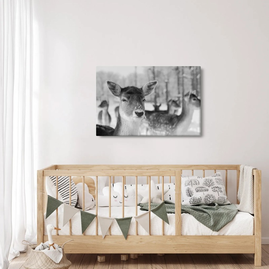 Tablou - Cerbi,alb-negru (90x60 cm)