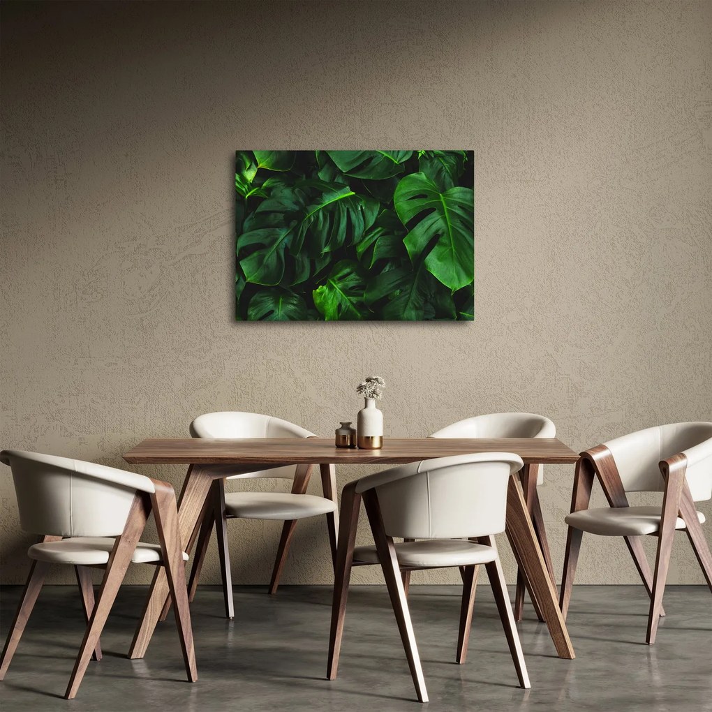 Tablou cu frunze Monstery (70x50 cm)