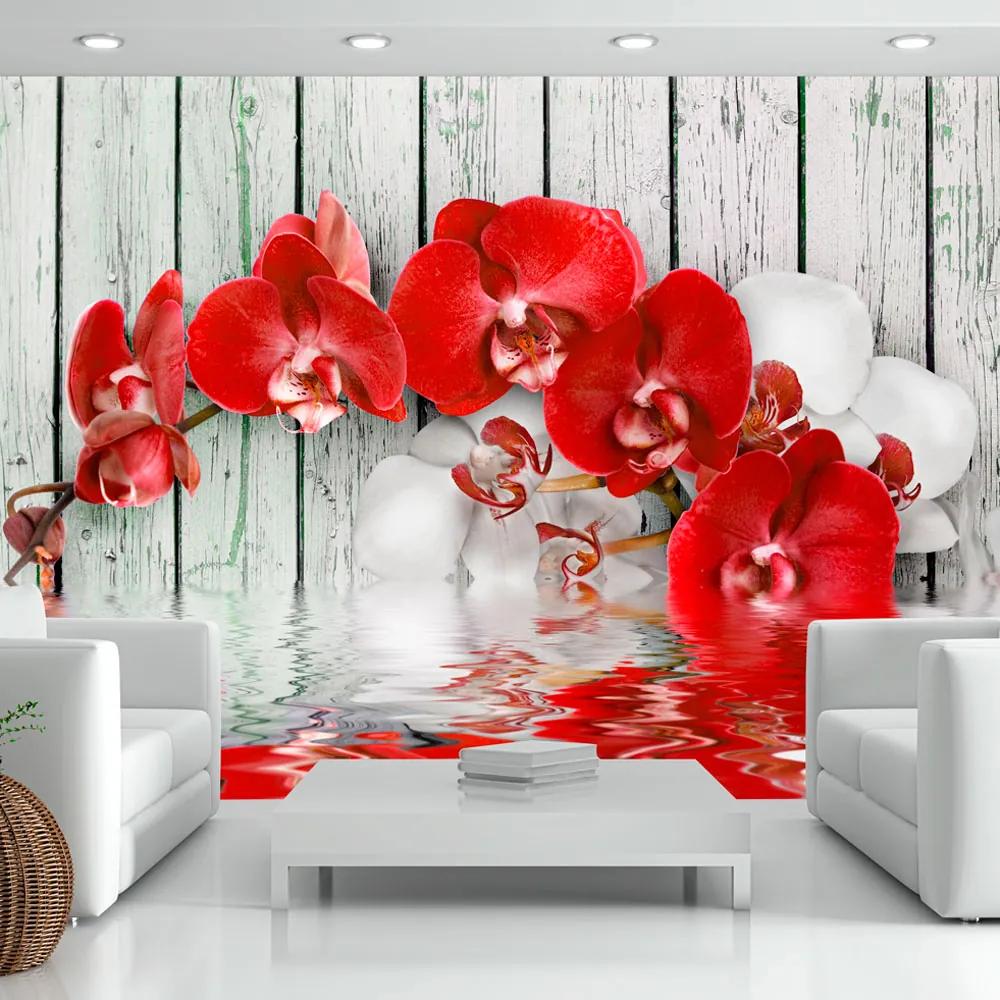 Fototapet Bimago - Ruby orchid + Adeziv gratuit 200x140 cm