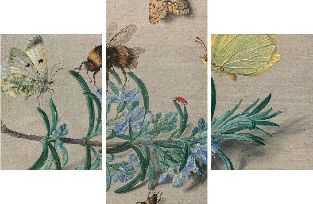 Tablou - Jan van Kessel the Elder, Insects and a Sprig of Rosemary, reproducere (90x60 cm)