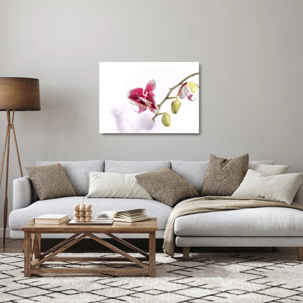 Tablou pe sticlă cu floarea de orhidee (70x50 cm)