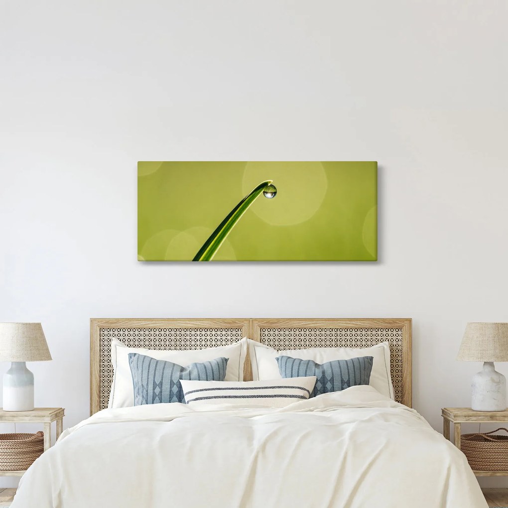 Tablou cu picătură de apă pe iarbă (120x50 cm)