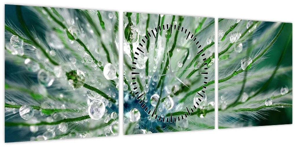 Tablou - Imagine macro a unei flori (cu ceas) (90x30 cm)