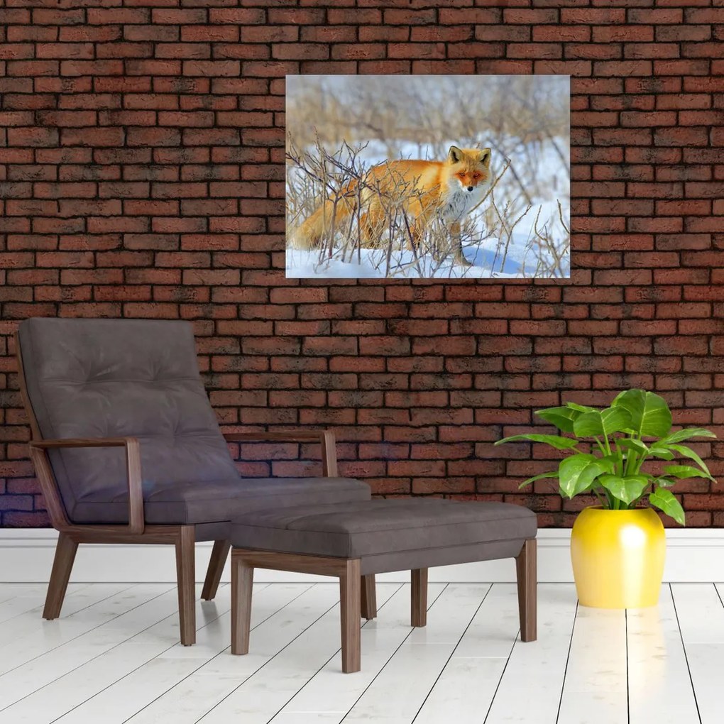 Tablou - Vulpe (70x50 cm)