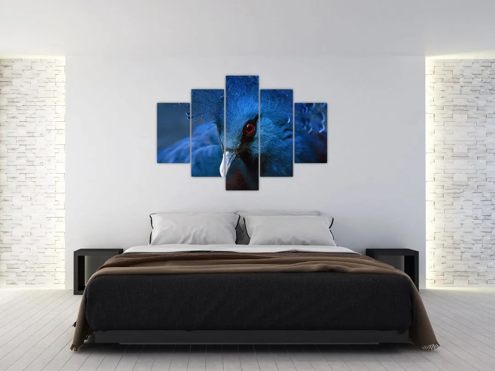 Tablou - Porumbel încoronat (150x105 cm)