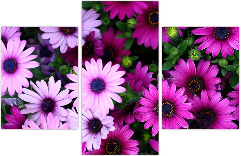 Tablou - Flori (90x60 cm)