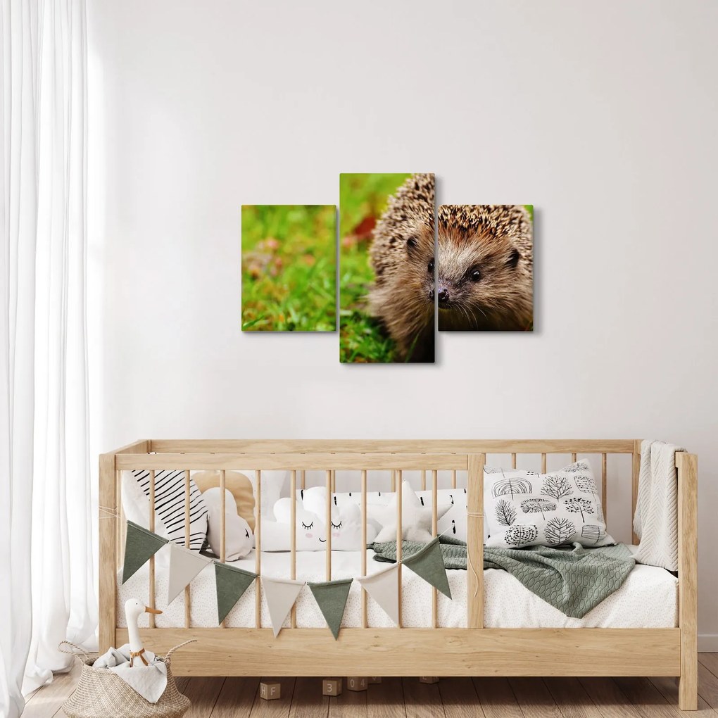 Tablou cu arici (90x60 cm)