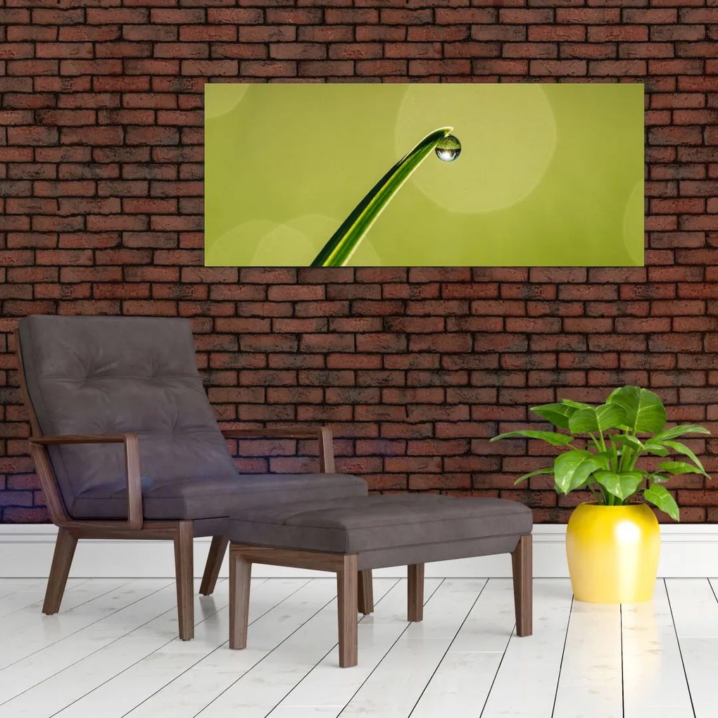 Tablou cu picătură de apă pe iarbă (120x50 cm)