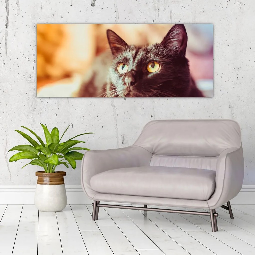 Tablou pisica neagră (120x50 cm)