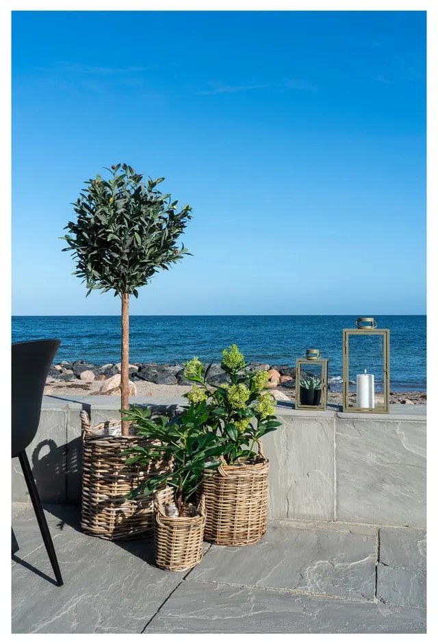 Plantă artificială (înălțime 60 cm) Fig – House Nordic