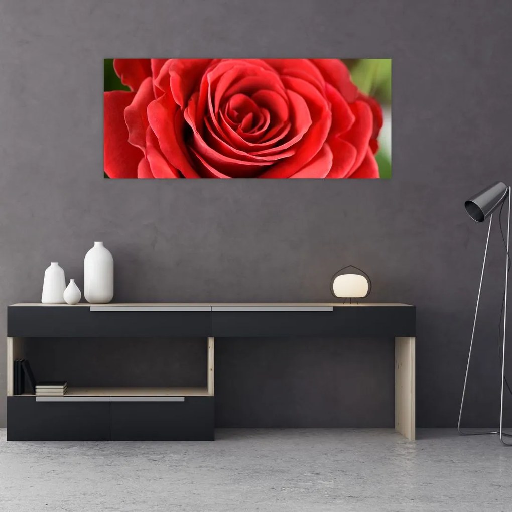 Tablou - Flori de trandafir (120x50 cm)