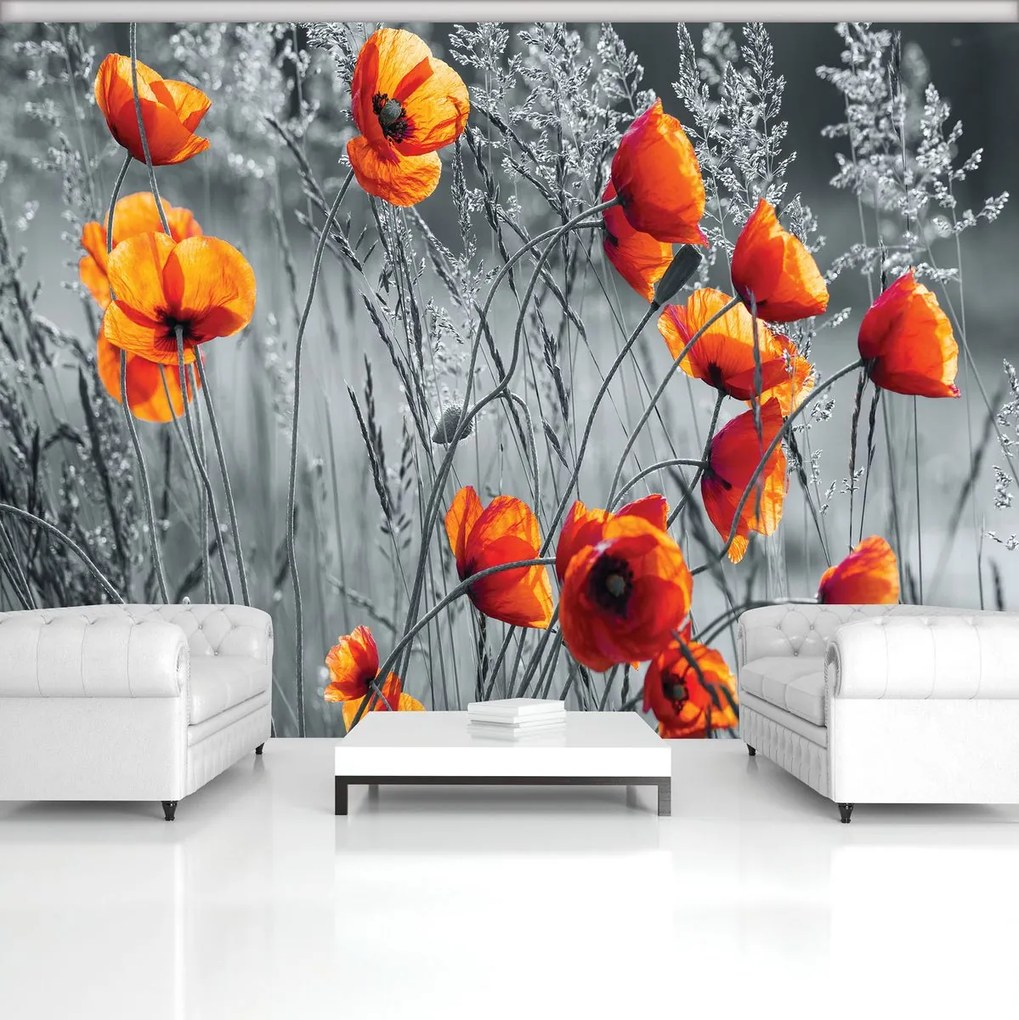 Fototapet - Mac (152,5x104 cm)