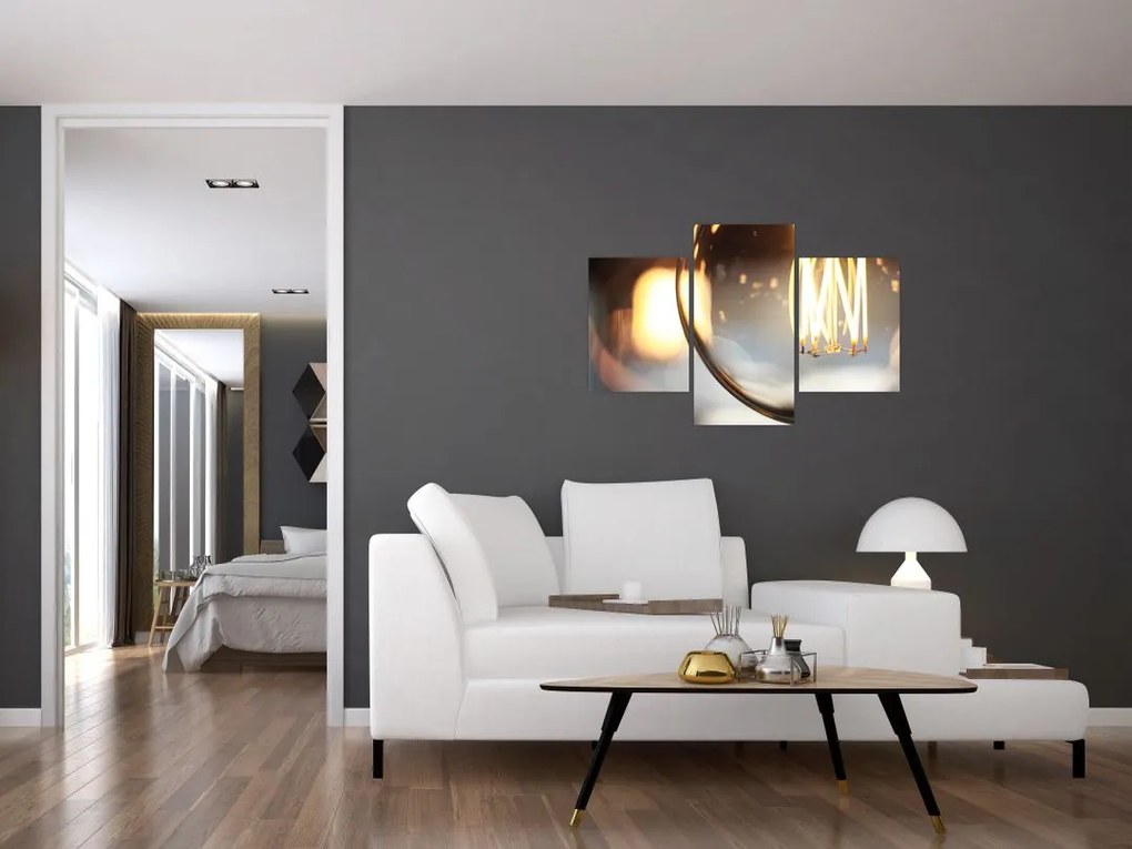 Tablou cu becul aprins (90x60 cm)
