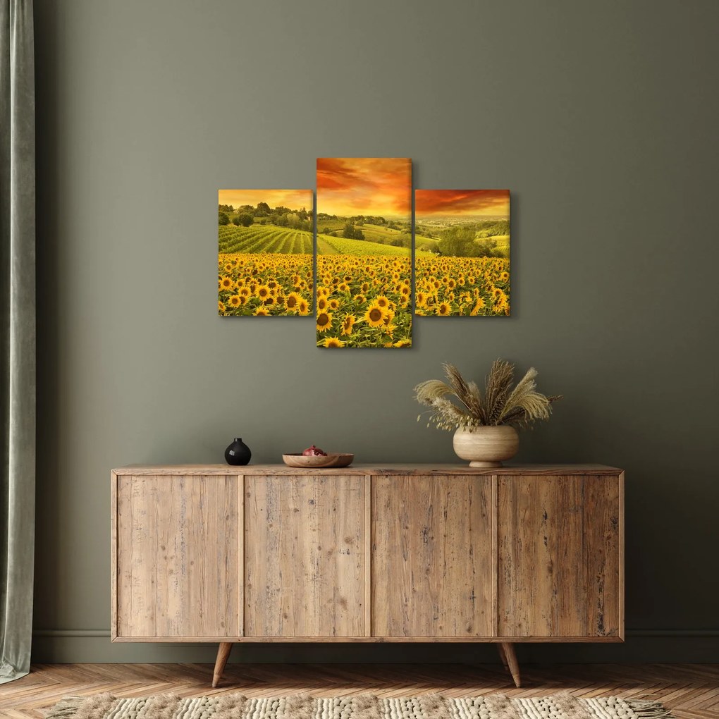 Tablou - Câmp de floarea-soarelui (90x60 cm)