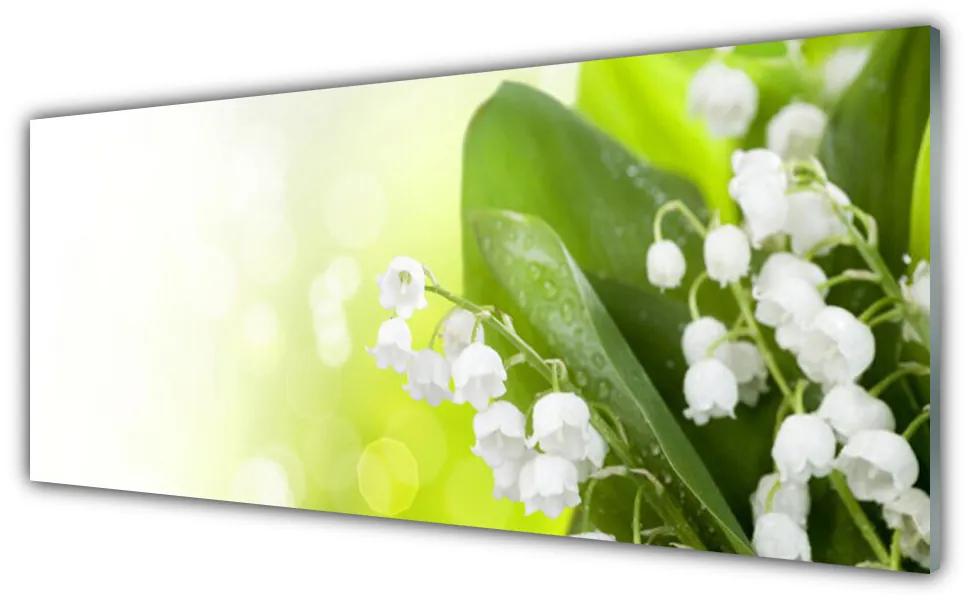 Tablou pe sticla Lacramioare Frunze Floral Alb Verde