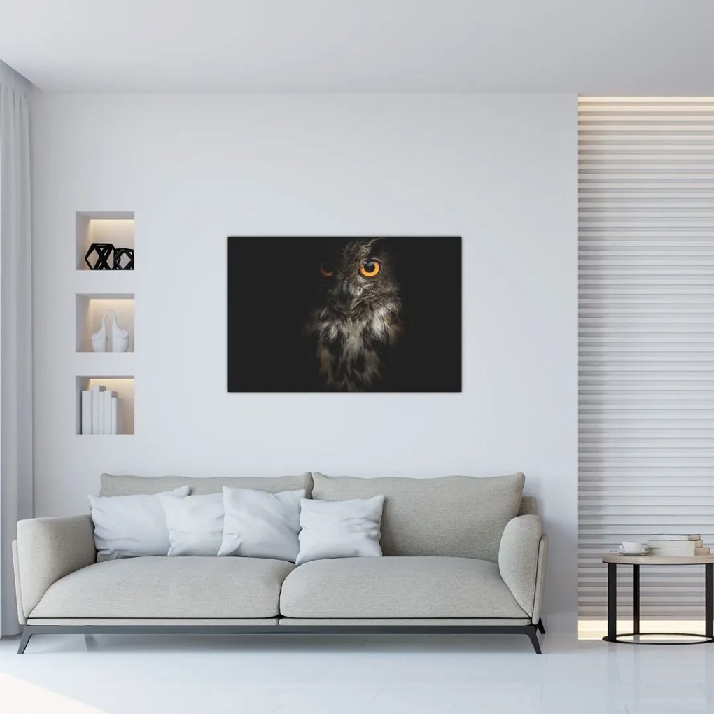 Tablou cu bufnița (90x60 cm)