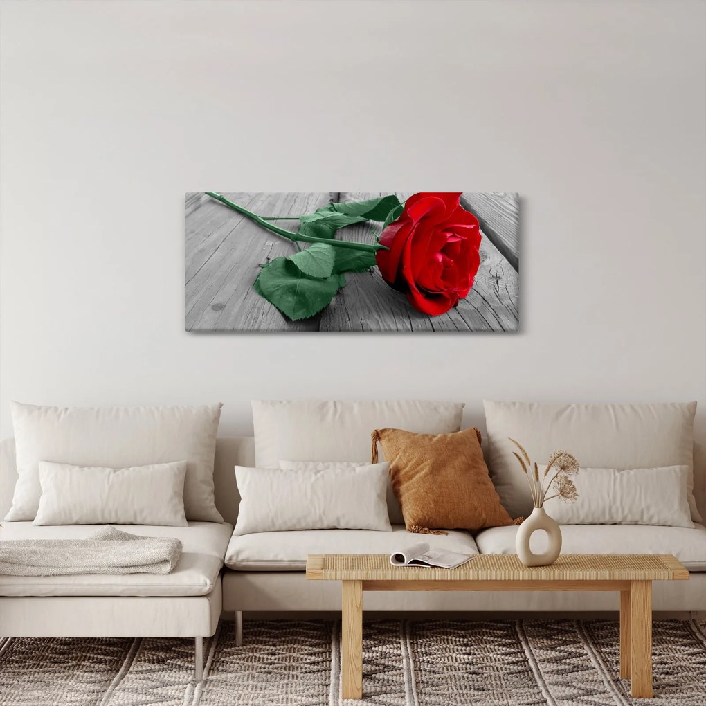 Tablou - Trandafir roșu cu tulpină verde (120x50 cm)
