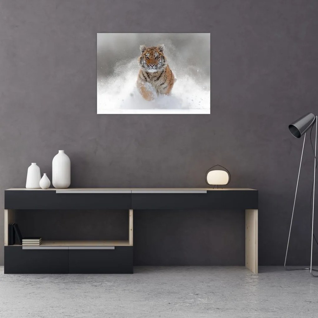 Tablou cutigru fugind prin zăpadă (70x50 cm)
