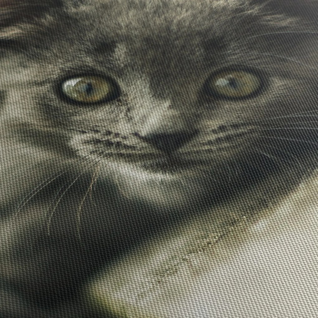 Tablou cu pisicuța (cu ceas) (90x30 cm)
