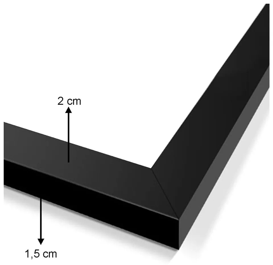 Tablouri 5 buc. Butterfly – Wallity