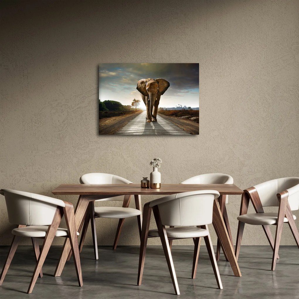 Tablou cu elefant (70x50 cm)