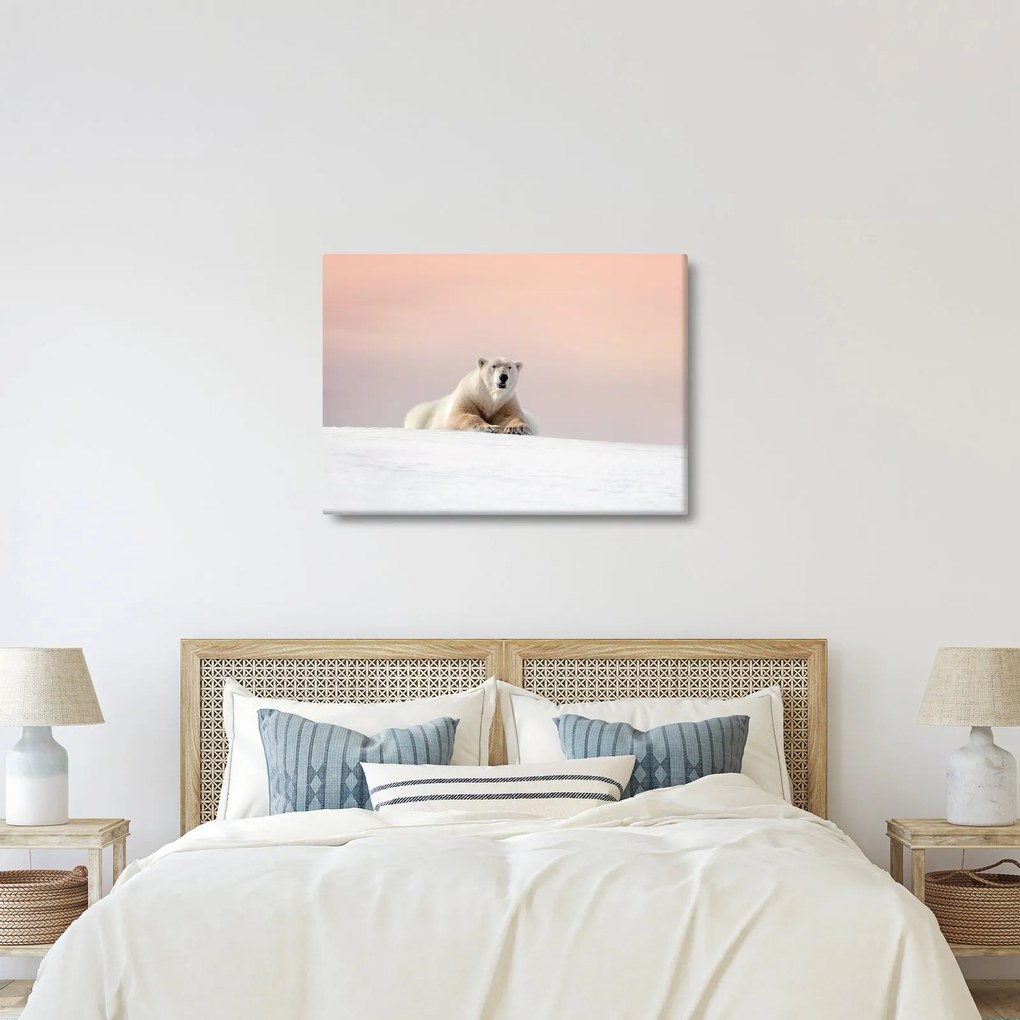Tablou - Urs polar (70x50 cm)