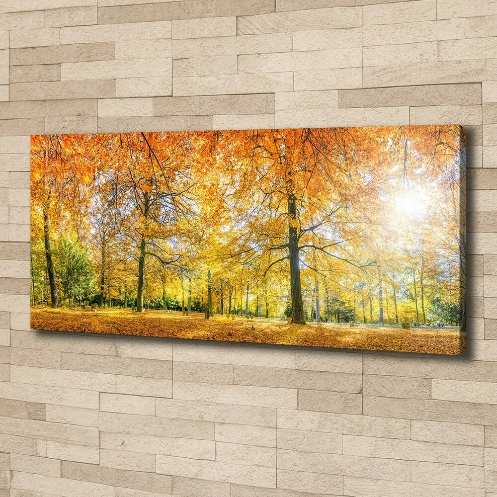 Imprimare tablou canvas Pădure în toamna