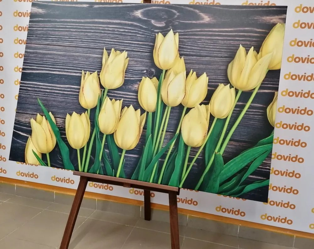 Tablou lalele fermecătoare pe fundal de lemn