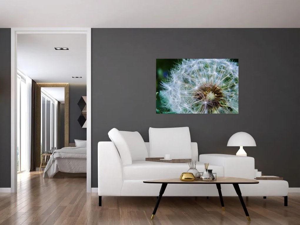 Tabloul cu păpădie desflorit (90x60 cm)