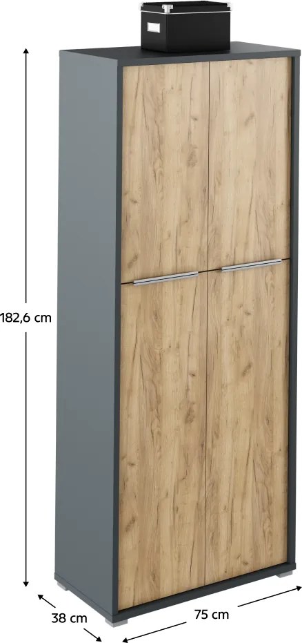 Dulap cu poliţe, grafit / stejar artizanal, RIOMA NEW TYP 07