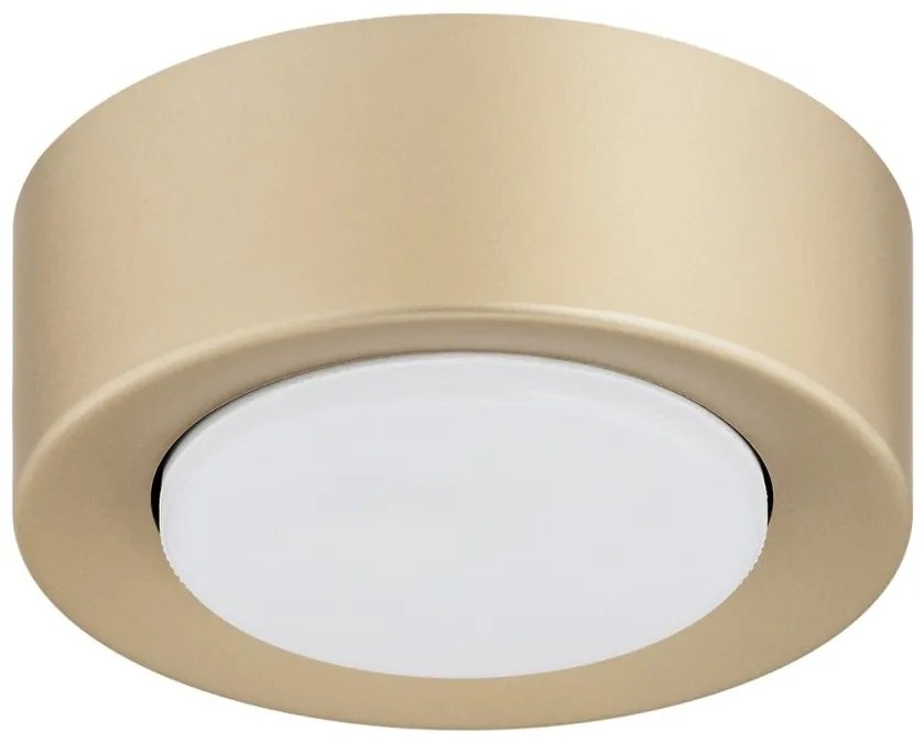 Spot tavan, Mini plafoniera ELORA 8903 auriu