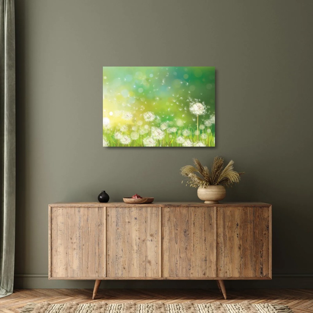 Tablou pe sticlă - Păpădie înflorită (70x50 cm)