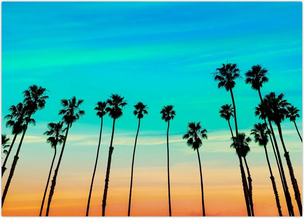 Tablou - California (70x50 cm)