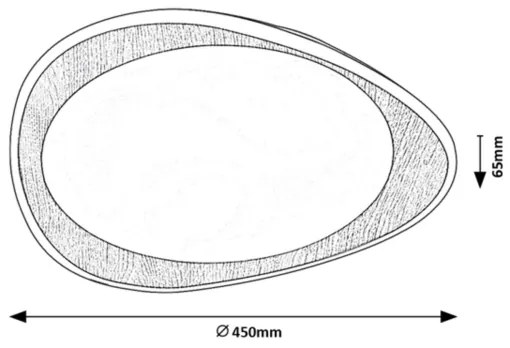 Rabalux 2427 - Plafonieră LED TAMINO LED/24W/230V