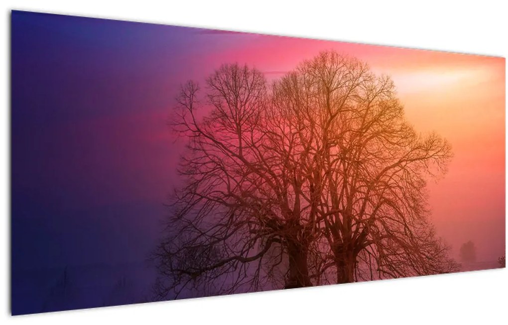 Tablou pomilor în ceață (120x50 cm), în 40 de alte dimensiuni noi