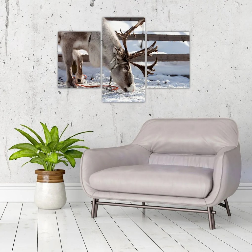 Tablou - Sâmbătă (90x60 cm)