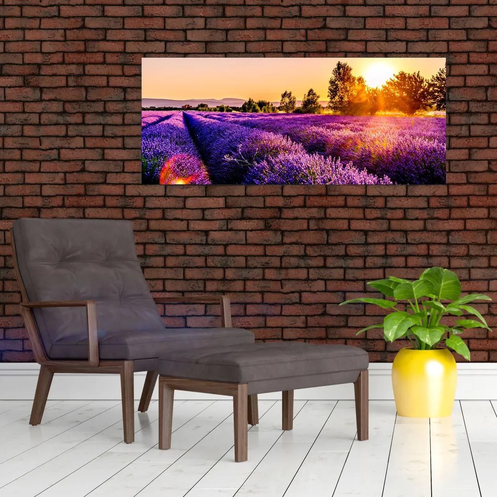 Tablou cu câmp de lavanda (120x50 cm)